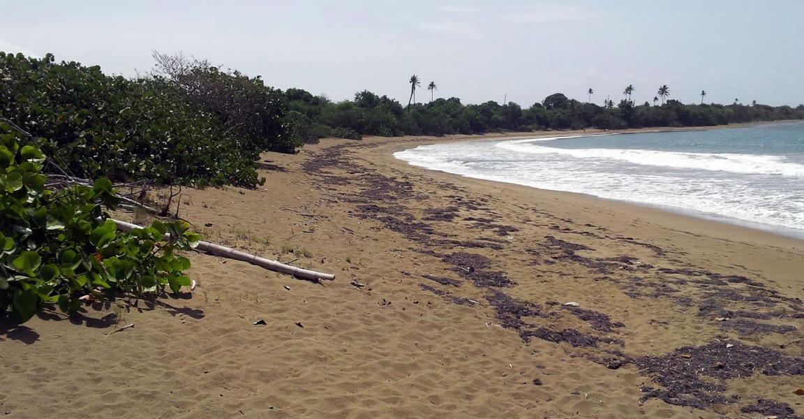 Isabela Puerto Rico Beachfront Real Estate