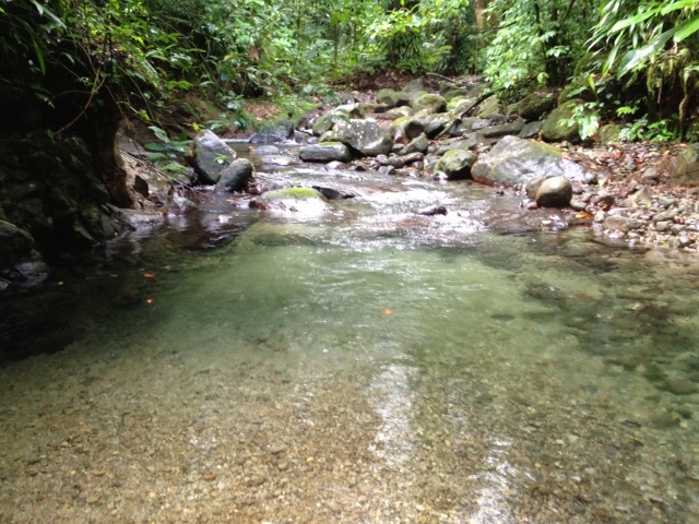 35 Acres of Land for Sale, Dominica - 7th Heaven Properties