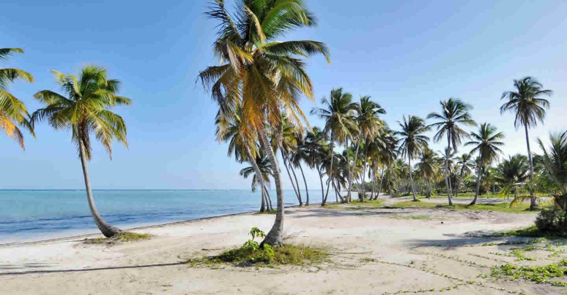 Beachfront Lots of Land for Sale, Juanillo Beach, Cap Cana, Dominican