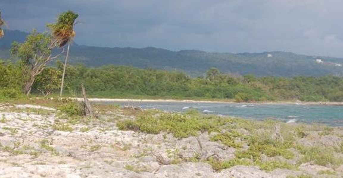 201 Acres of Beachfront Land for Sale, Westmoreland ...