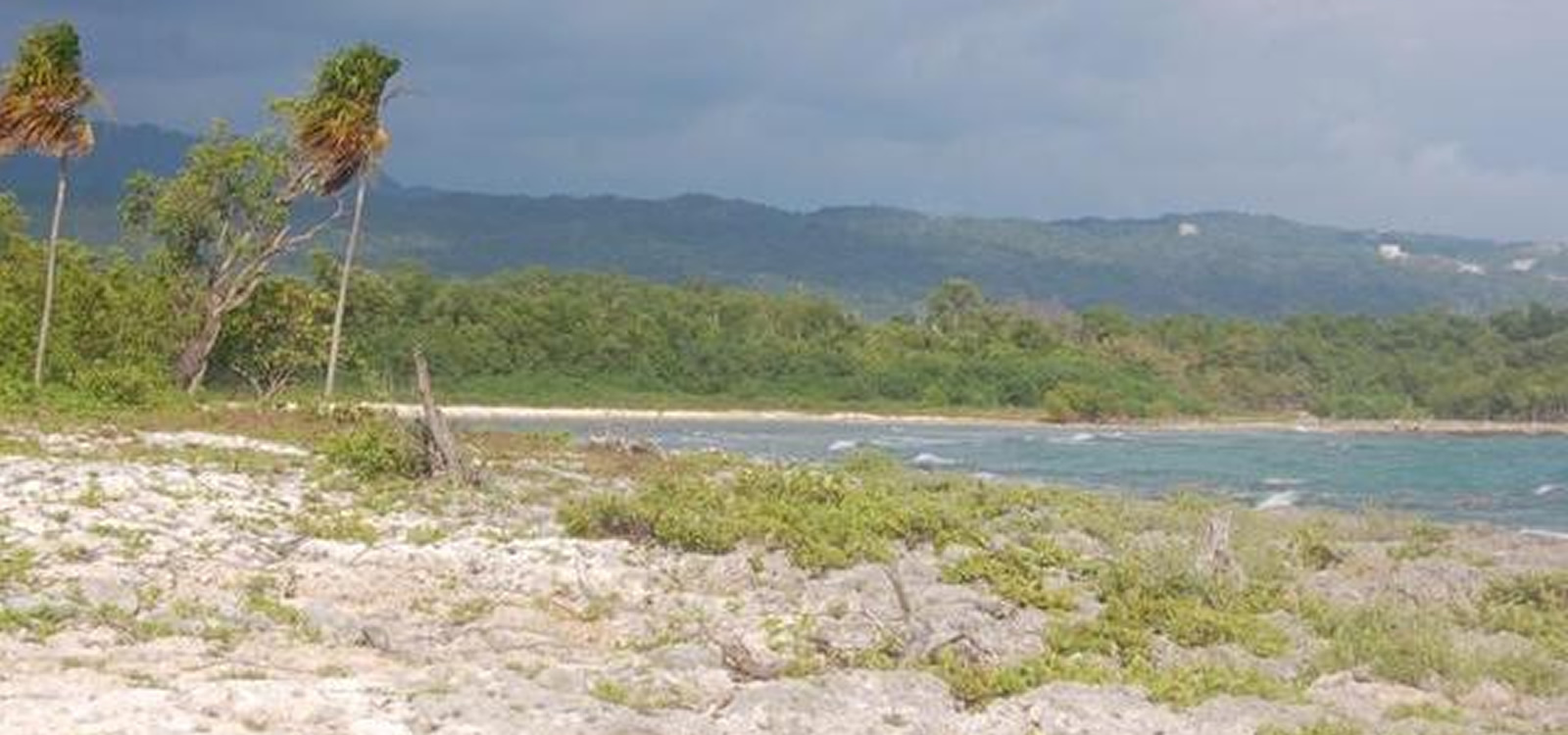 201-acres-of-beachfront-land-for-sale-westmoreland-jamaica-7th