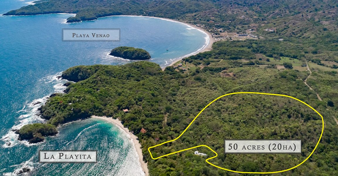 52.4 Acres of Beachfront Land for Sale, La Playita, Pedasi, Panama